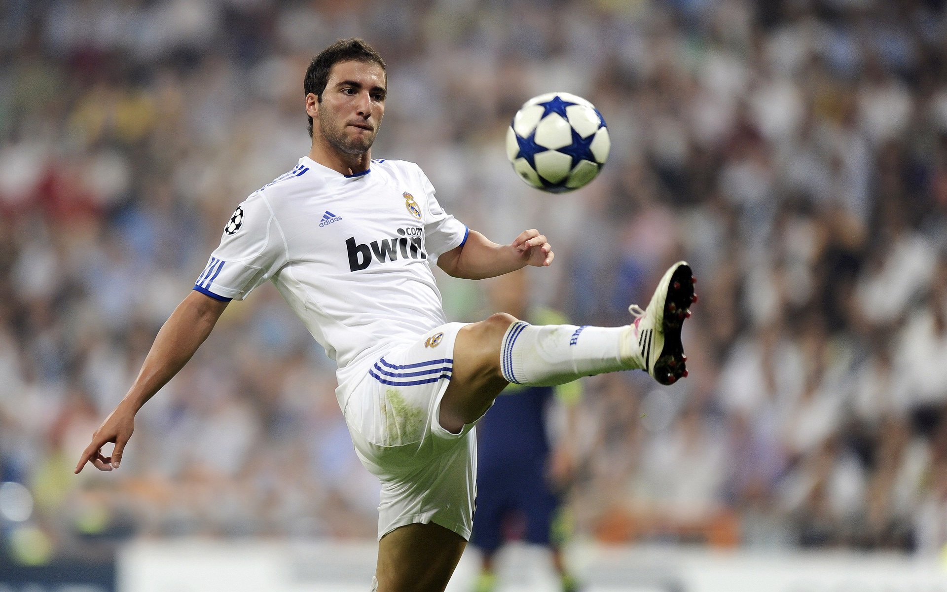 伊布赛点兑现，波士顿凯尔特人淘汰山东泰山晋级四强，主帅激动落泪